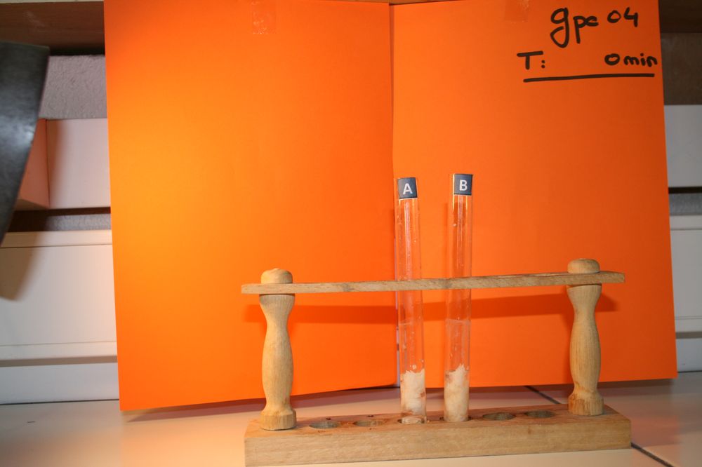 gal/LES_CINQUIEMES/ACTIVITE DIGESTION IN VITRO/Groupe_04/Groupe04_T_00h00min/Groupe04_T_00h_00min_7.JPG